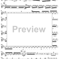 Concerto in B Minor, Op. 3, No. 10, RV580 from "L'Estro Armonico" - Violin 1