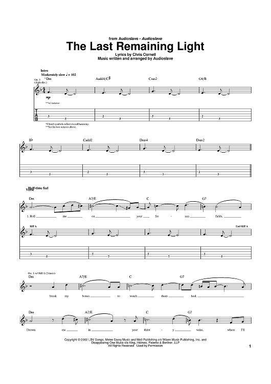 The Last Remaining Light