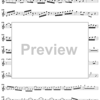 Horn Concerto No. 1 - Horn