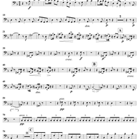 Serenade in D Minor, Op. 44, Movement 4 - Cello