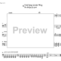 Am Wege zum Licht - Double Bass