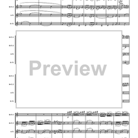 Allegro from "String Quartet 17" - Score