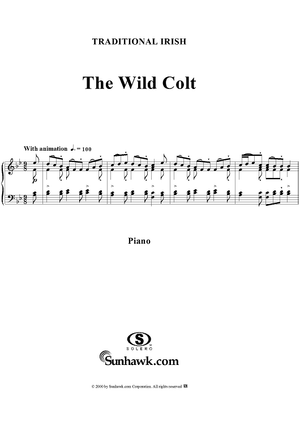 The Wild Colt