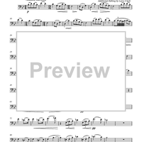 Andante Cantabile from String Quartet No. 1 in D Major, Op. 11