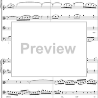 Cantata No. 13  "Meine Seufzer, Meine Thränen," BWV13