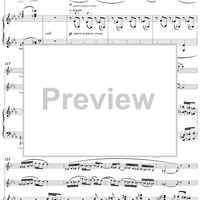 Clarinet Sonata, Op. 14, Movement 3 - Piano Score