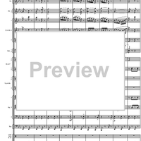 Final Galop from the Guard of Amager - Score