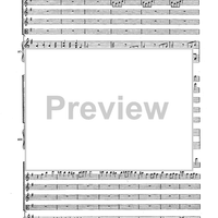 Double Concerto for Recorder and Flute in E minor - Score