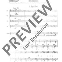 Florian auf der Wolke - Score