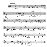Godalni Quartet - Violin 2