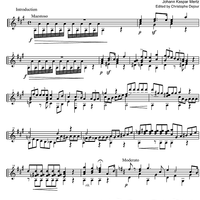 Lucia de Lammermoor Op. 8 No. 2