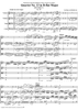 String Quartet No. 13, Movement 1 - Score