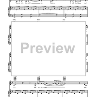 Bright Lights and Cityscapes