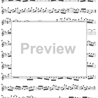 Flute Sonata No. 1 in B Minor, BWV1030 - Flute