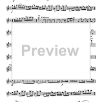 Sonata for Saxophone and Piano "Meditations on Rumi" - Alto Saxophone