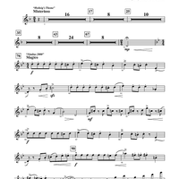 Harry Potter Symphonic Suite - Piccolo