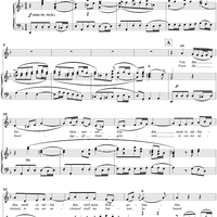 St. John Passion: Part I, No. 7, "Von den Stricken meiner Sünden"