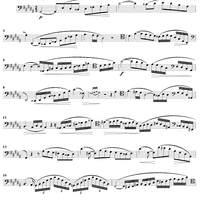 Concert Study No. 37