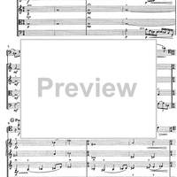 Contrabbasso concertante - Score