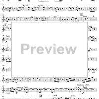 Horn Concerto No. 4 in E-flat Major, K495 - Horn