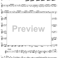 Sonata No. 6 in D Minor - Violin