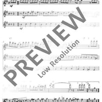 Flute Fun - Performing Score