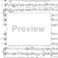 "Se a maritarmi arrivo", No. 14 from "La Finta Semplice", Act 2, K46a (K51) - Full Score