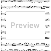 Sonata No. 15 in C Minor - Flute