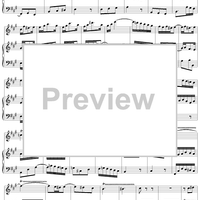 Flute Sonata No. 3, Movement 3