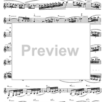 Preliminary studies to 'The Accomplished Clarinettist' Vol. 3 - Clarinet