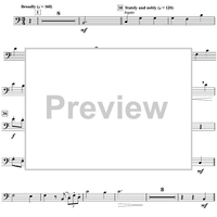 Harry's Wondrous World