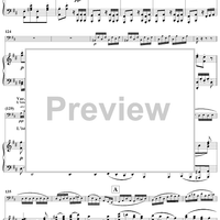 Variations concertantes in D Major Op.17 - Piano