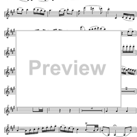 Concerto No. 4 D Major KV218 - Violin