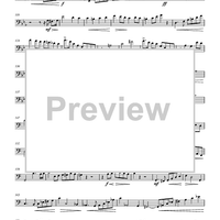 Allegro Moderato from Concerto, Op. 14