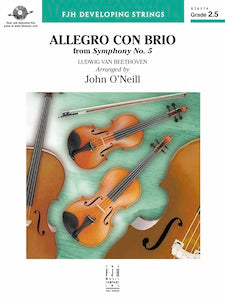 Allegro Con Brio - Violin 2