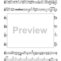 Three Grounds for Viola - Viola