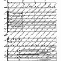 Il Vitalino raddoppiato - Full Score