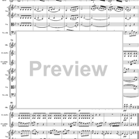 Horn Concerto No. 4 in E-flat Major, K495