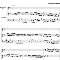 Flute Sonata No. 3, Movement 1