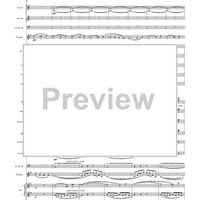 Violin Concerto in E Minor, Movement 1 - Full Score