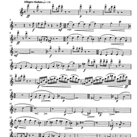 Jarní Hudba (Spring music) - Flute