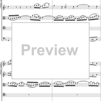 Cantata No. 13  "Meine Seufzer, Meine Thränen," BWV13