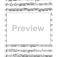 Double Concerto for Recorder and Flute in E minor - Flauto Traverso (Flute)