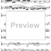 Clarinet Concerto No. 2 - Clarinet in B-flat