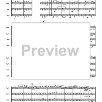 Tuba (Clarinet) Polka - Score