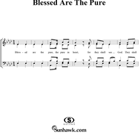 Blessed Are The Pure