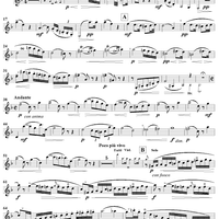 Clarinet Concertino in E-flat Major, Op. 26 - Clarinet