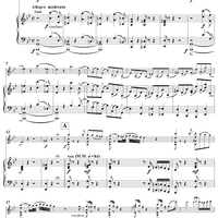 Fantasia Appassionata - Piano Score