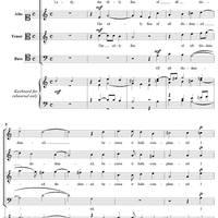 Lady, the Silly Flea