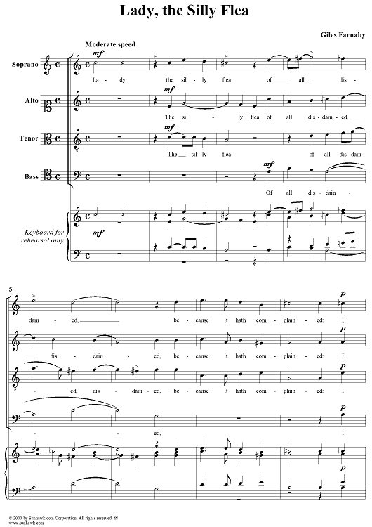 Lady, the Silly Flea